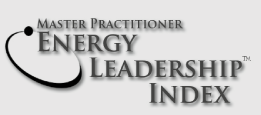Logo Enery Leader